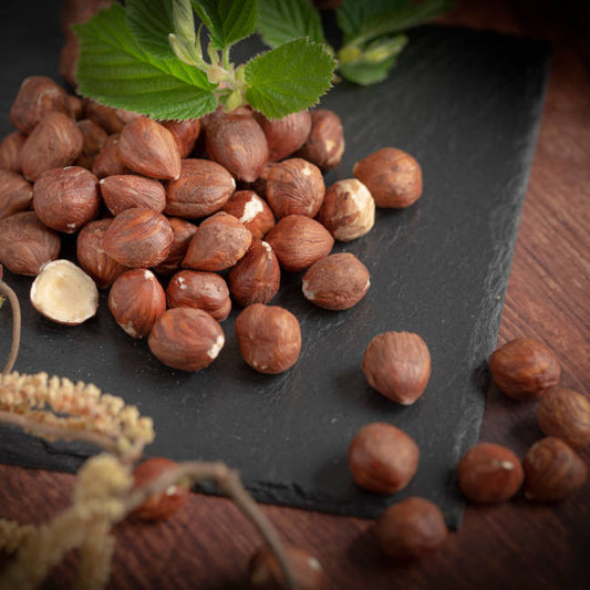 Haselnüsse aus der Türkei Naturell 13-15