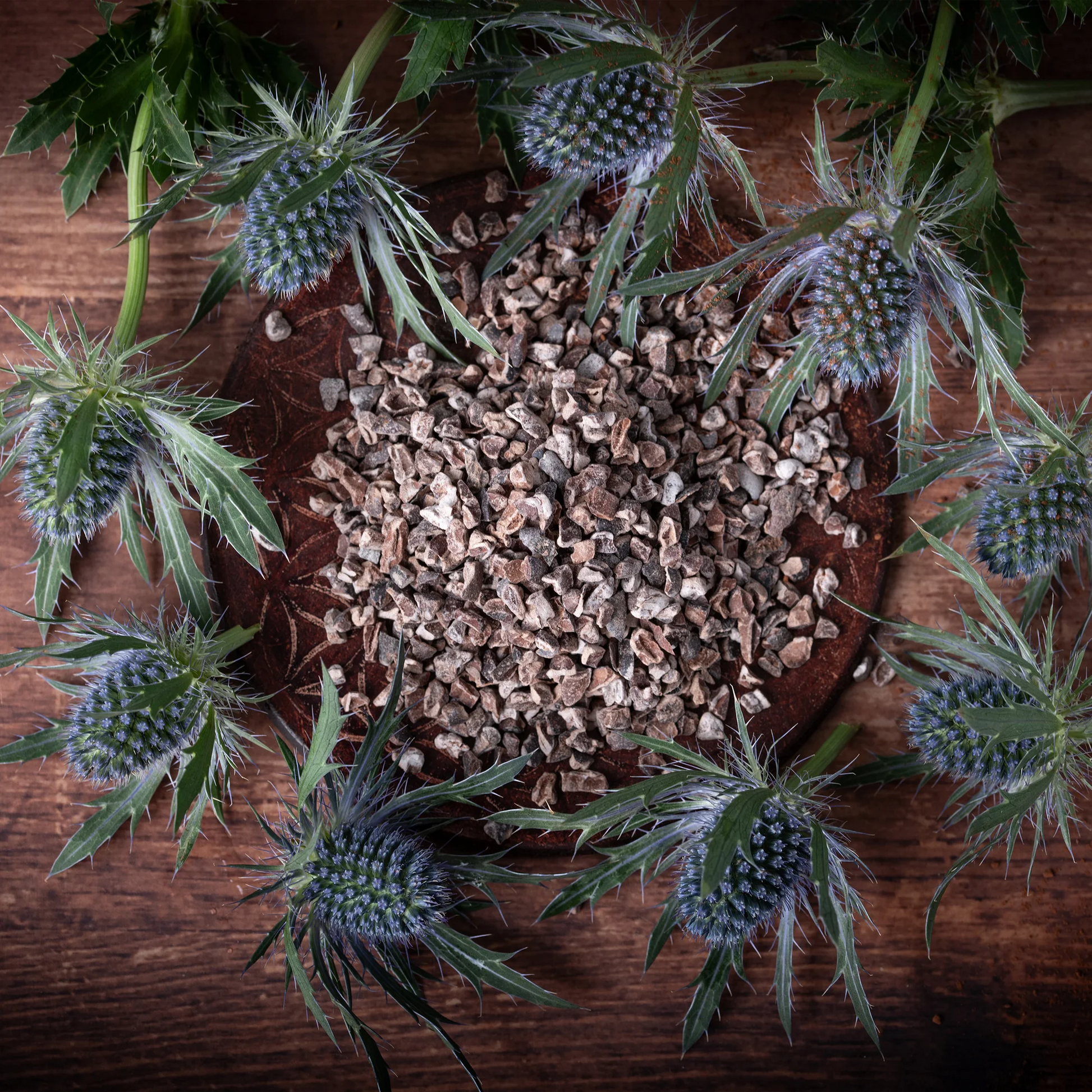Kakao Nibs  – naturbelassen und aromatisch