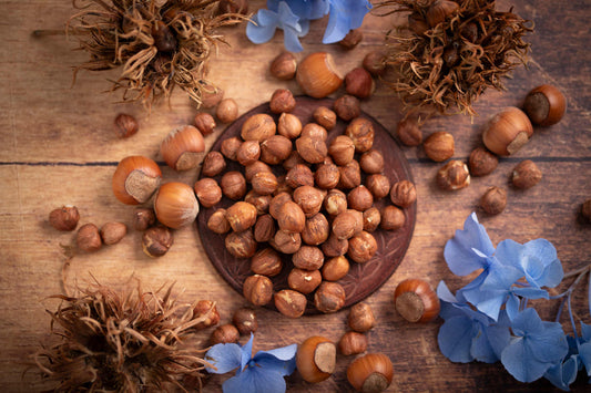 Haselnüsse aus dem Piemont Naturell