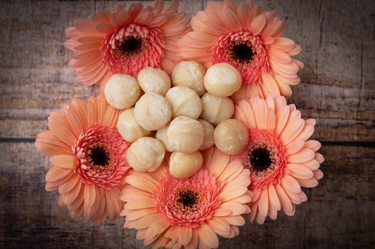 Macadamia Naturell aus Malawi Style 0