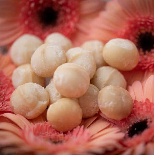 nussmart ganze Macadamiakerne aus Malawi Style 0. Mit Dekoration. Dekoration ist nicht im Leistungsumfang