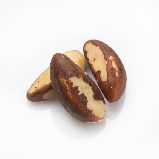 Detailansicht Paranusskerne aus Peru Large